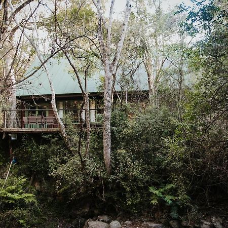 Rockwood Karkloof Forest Lodge & Mountain Cabin Yarrow Exterior foto