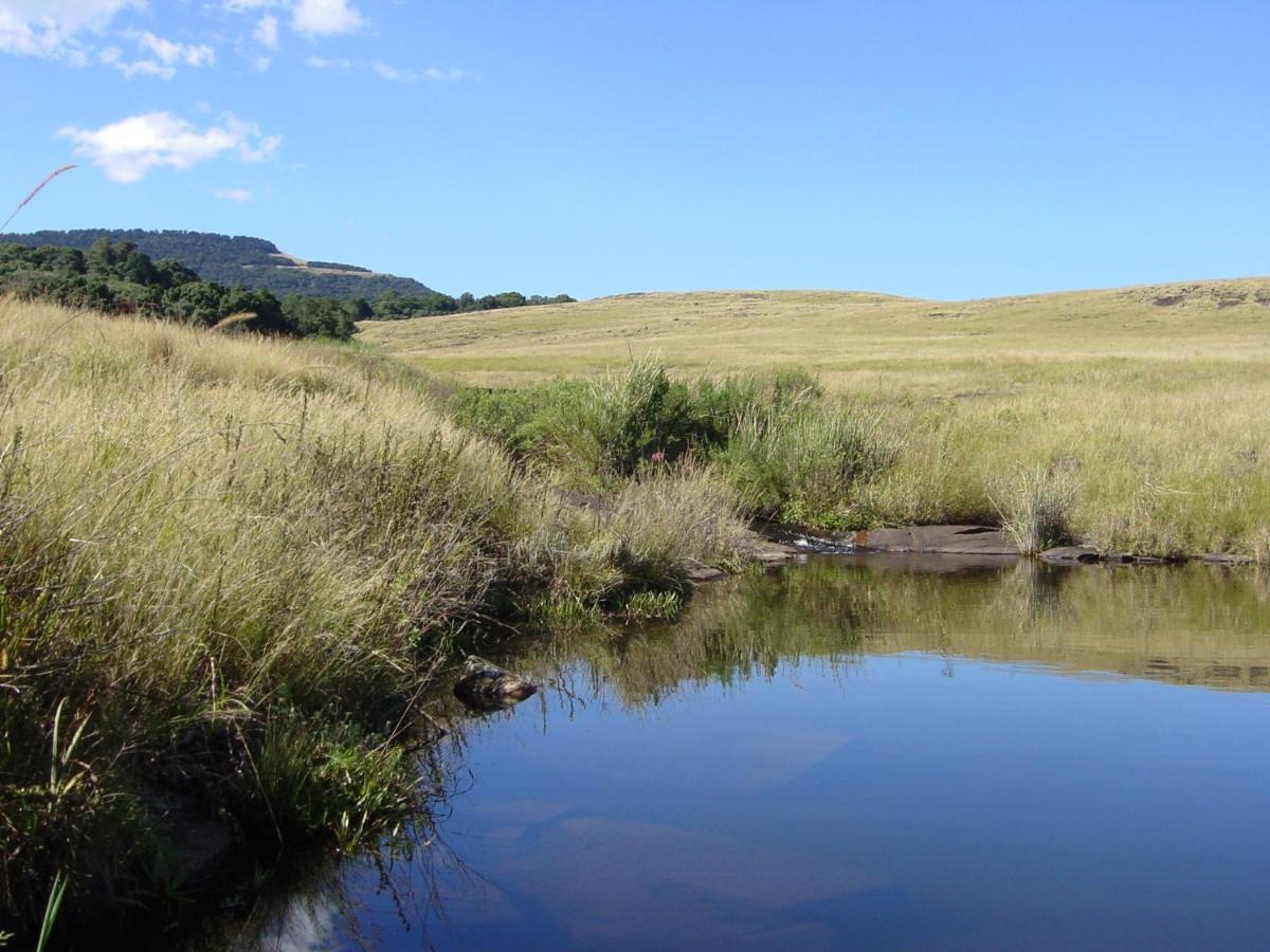 Rockwood Karkloof Forest Lodge & Mountain Cabin Yarrow Exterior foto
